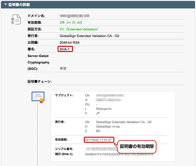 SSLチェックツールで確認を