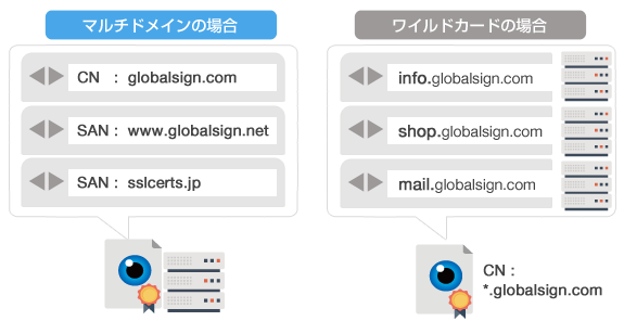 図:SANとワイルドカードとの違い
