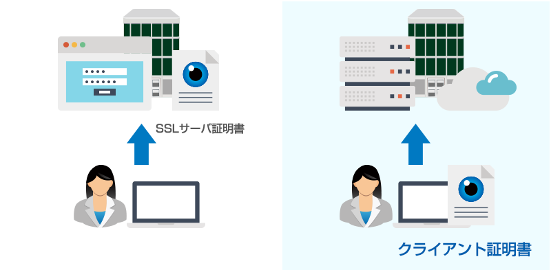 SSLサーバ証明書とクライアント証明書の違い