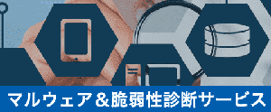 マルウェア&脆弱性診断サービス